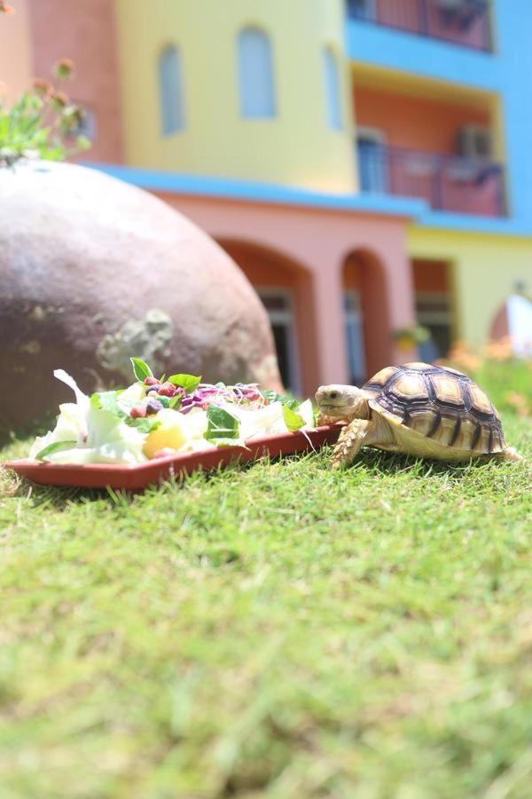 Provence Homestay Magong Dış mekan fotoğraf